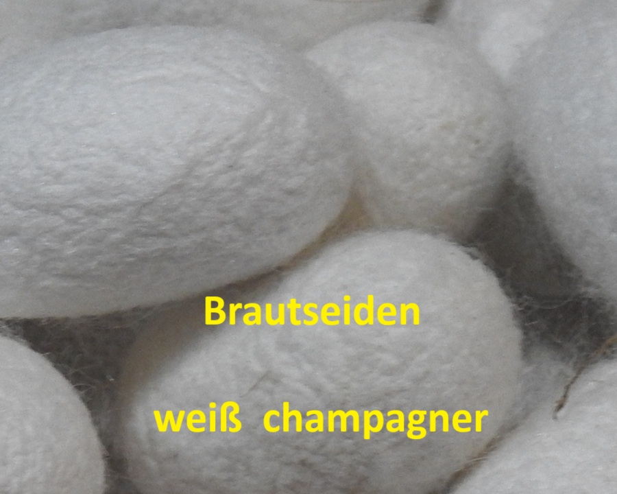 Brautseide Brautseide